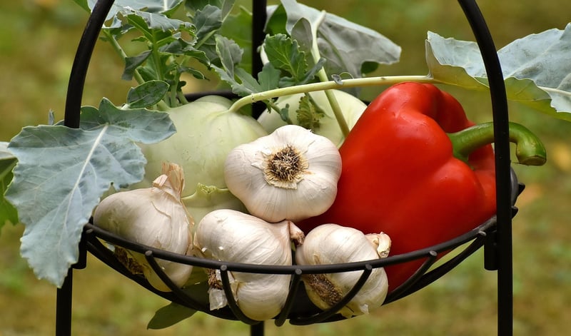 Variety of Plants